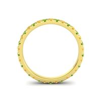 Eternity Pura Band