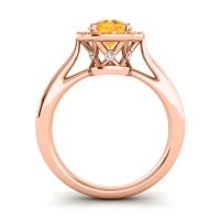 Cathedarl Halo Dana Ring
