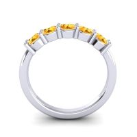 Classic Vairagya Band