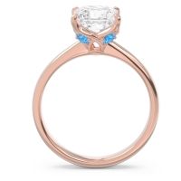 Solitaire Princess Cut Lina Ring