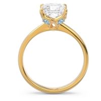 Solitaire Princess Cut Lina Ring