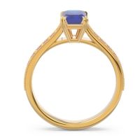 Pave Milgrain Emerald Cut Druna Ring