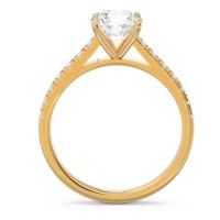 Pave Ajagara Ring