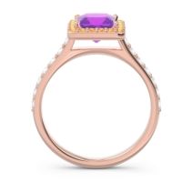 Halo Pave Princess Caturazra Ring