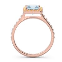 Halo Pave Princess Caturazra Ring