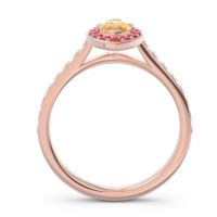 Halo Pave Marquise Nauka Ring