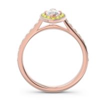 Halo Pave Marquise Nauka Ring