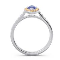 Halo Pave Marquise Nauka Ring