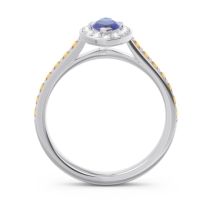 Halo Pave Marquise Nauka Ring