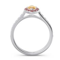 Halo Pave Marquise Nauka Ring