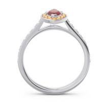 Halo Pave Marquise Nauka Ring