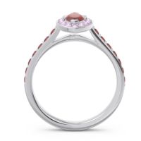 Halo Pave Marquise Nauka Ring