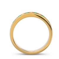 Half Eternity Channel Set Droni Band