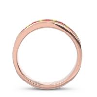 Eternity Channel Set Droni Band