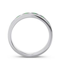 Eternity Channel Set Droni Band