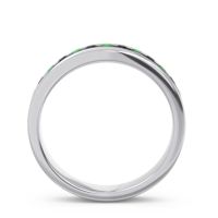 Eternity Channel Set Droni Band