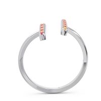 Peitite Open Pave Avasthanama Band