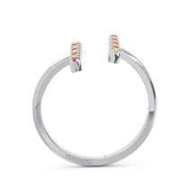 Peitite Open Pave Avasthanama Band