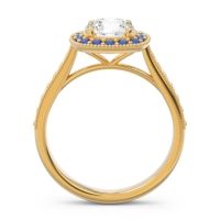 Cathedral Halo Migrain Bahurupaka Ring