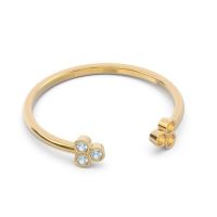 Petite Open Bezel Tryazra Band