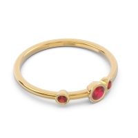 Petite Modern Bezel Nirvizaya Band