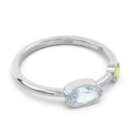 Simple Bezel Oval Nana Band