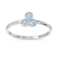 Petite Modern Bezel Zikharin Ring