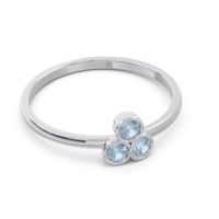 Petite Modern Bezel Zikharin Ring