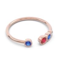 Petite Modern Open Bezel Vihvarita Ring