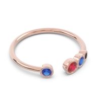 Petite Modern Open Bezel Vihvarita Ring