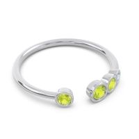 Petite Modern Open Bezel Vihvarita Ring