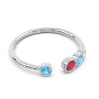 Petite Modern Open Bezel Vihvarita Ring