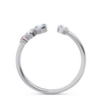 Petite Modern Open Bezel Vihvarita Ring