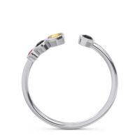 Petite Modern Open Bezel Vihvarita Ring
