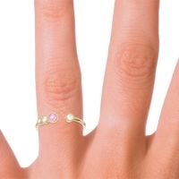 Petite Modern Open Bezel Vihvarita Ring