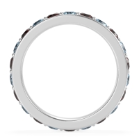 Channel Prong Set Eternity Surya Band