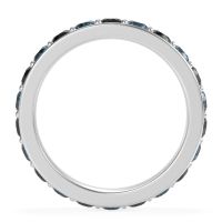 Channel Prong Set Eternity Surya Band