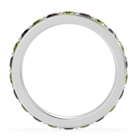 Channel Prong Set Eternity Surya Band