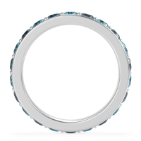 Channel Prong Set Eternity Surya Band