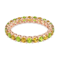 U Prong Round Eternity Anvis Band