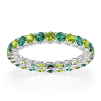 U Prong Round Eternity Anvis Band