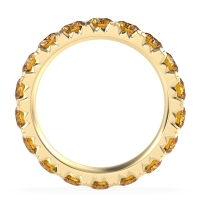 Pave Eternity Statement Varsa Band