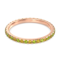 Eternity Classic Wedding Sarva Band