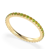 Eternity Classic Wedding Sarva Band