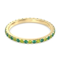 Eternity Classic Wedding Sarva Band