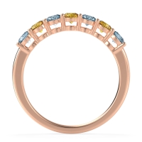 Classic Prong Set Round Stana Band