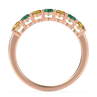 Classic Prong Set Round Stana Band