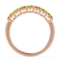 Classic Prong Set Round Stana Band