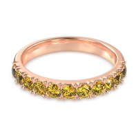 Half Eternity Classic Prong Set Udara Band