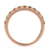 Half Eternity Classic Prong Set Udara Band